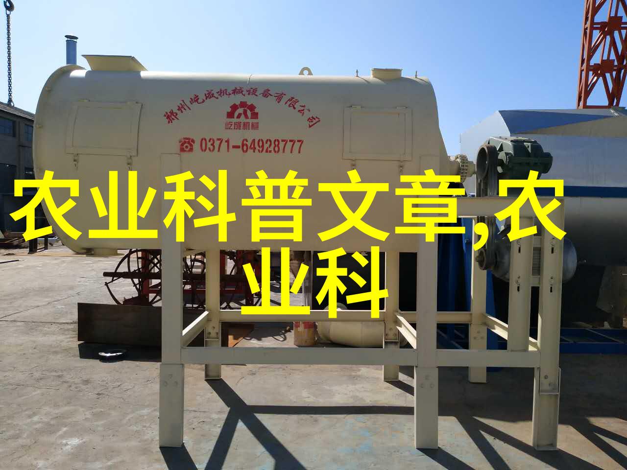 枫叶椰子与黑橡果秋季两大特产水果之争