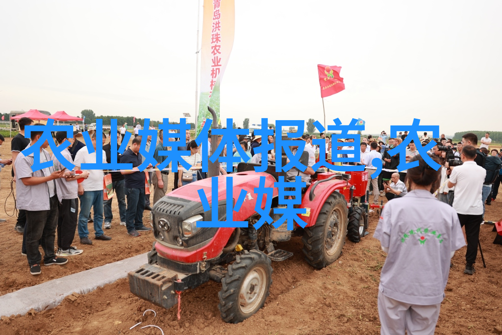 茶叶文化与品种演变探究中国古代茶艺的历史根源