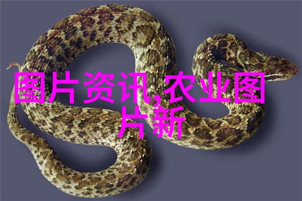 在进行日常生活中的运动和健身后可以直接喝下一杯特制的加速新陈代谢的煎煮草本茶吗