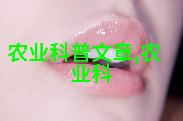 自动化农业吸粮机在智能化生产中的应用前景