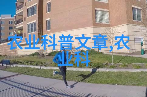 家庭客厅养什么花好 - 温馨居家选择适合家庭客厅的美丽植物