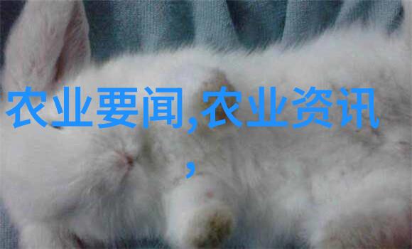 缅甸南部水域发现大量塑料垃圾问题引关注
