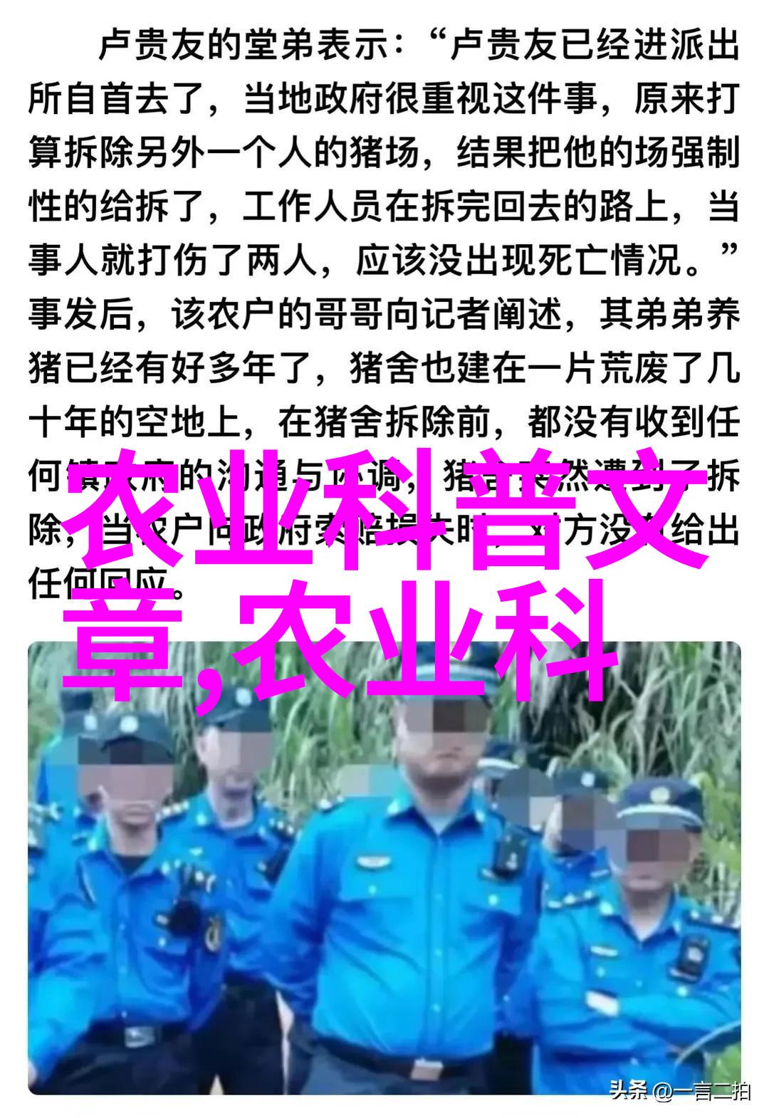 最容易种的盆栽水果-亲手养出美味零基础也能轻松尝鲜
