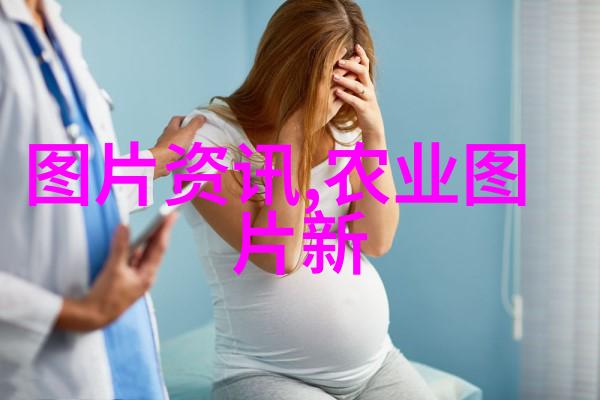 滑子菇种植技巧从土豆开始的奇妙旅程