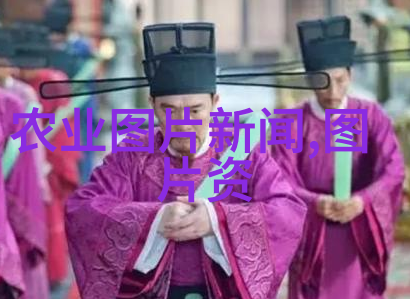 全球化趋势下国际市场对于中国本土药材的需求预期是怎样的