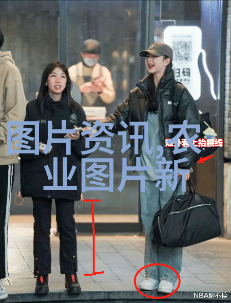 西瓜之美50种色彩斑斓的佳果画像