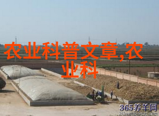 茶叶的秘密成分解析绿茶中的抗氧化物质