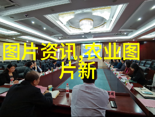 云南省中药材收购市场绿色生态与传统智慧的交汇