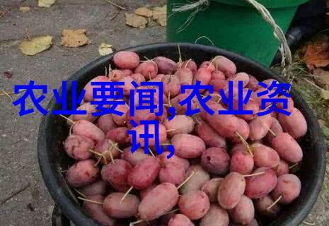 探秘草药宝库3000种自然之选的奇迹与应用
