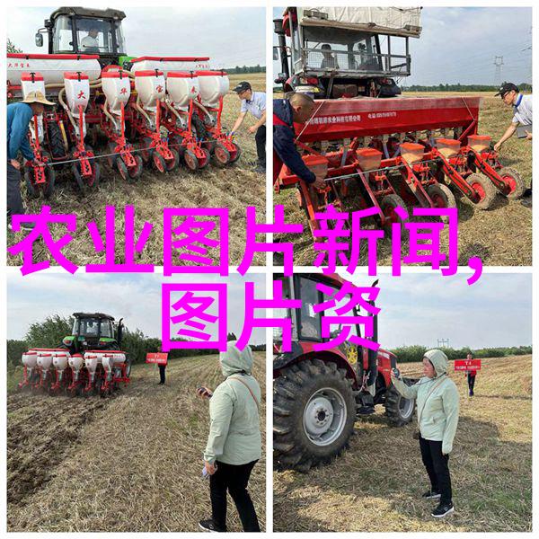 法律法规入门掌握基本常识筑牢正义之基