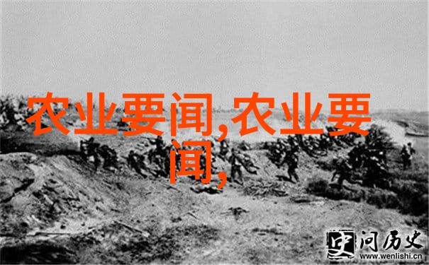 红茶与抗氧化解析其在减少癌症风险中的作用