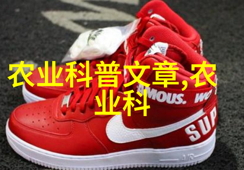药材种植合作公司在管理上是否存在规模与效率之间的矛盾
