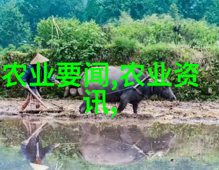 江西种植的最贵药材-红花之乡探秘江西最贵药材的种植与价值