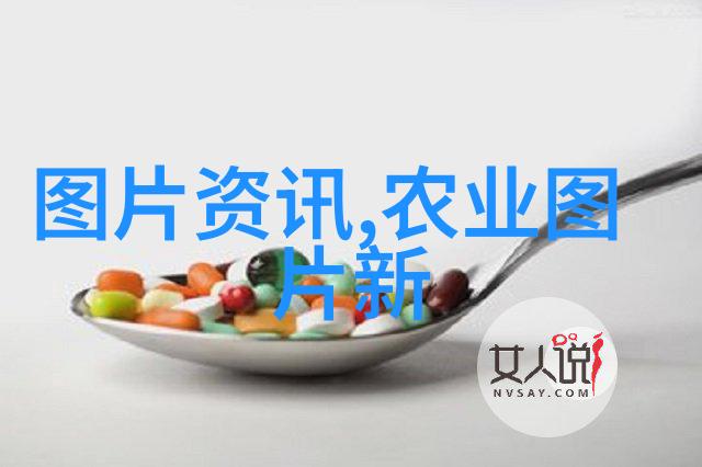 养殖技术培训我来教你如何让你的鸡蛋更有市场价值