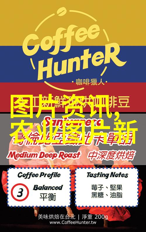 黄金桂茶传说中的智慧女神聆听她讲述的茶树知识