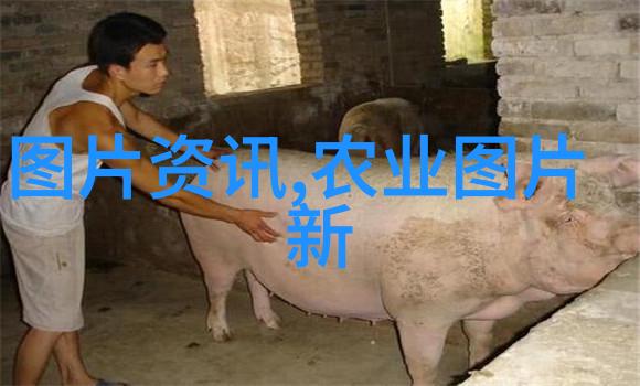 木工机械俺的这套设备能把木头做得跟艺术品一样