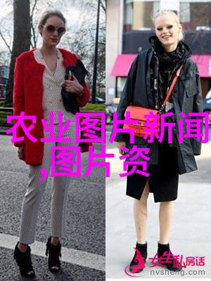 养蜂技术经典我来教你一套简单易懂的方法让你的蜂箱里总是生机勃勃