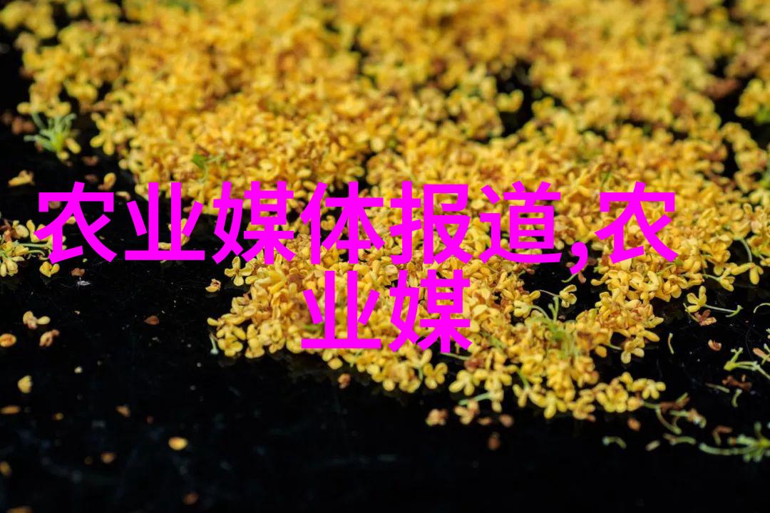 甜玉米种子处理技术开启粮油作物种植的黄金篇章