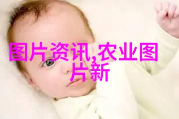 简单易种的水果家园里的绿色宝藏
