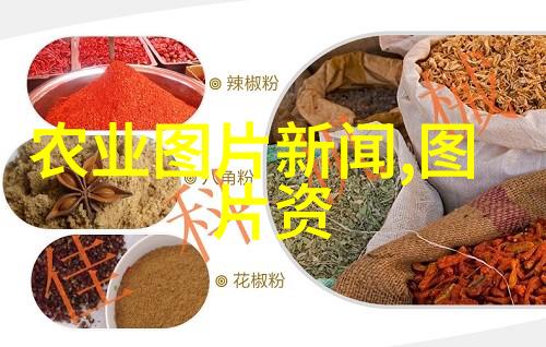 在民法典编制过程中涉及了哪些重要原则和考虑因素