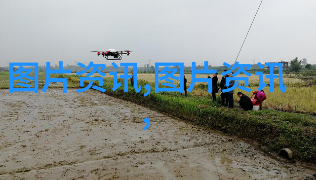 安全保障避免危险因素提升整个生态系统稳定性