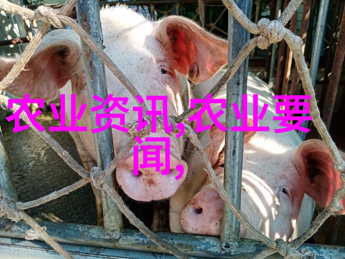 水产养殖包括哪些品种 - 丰富多彩的水域宝库探索现代水产养殖的多样化