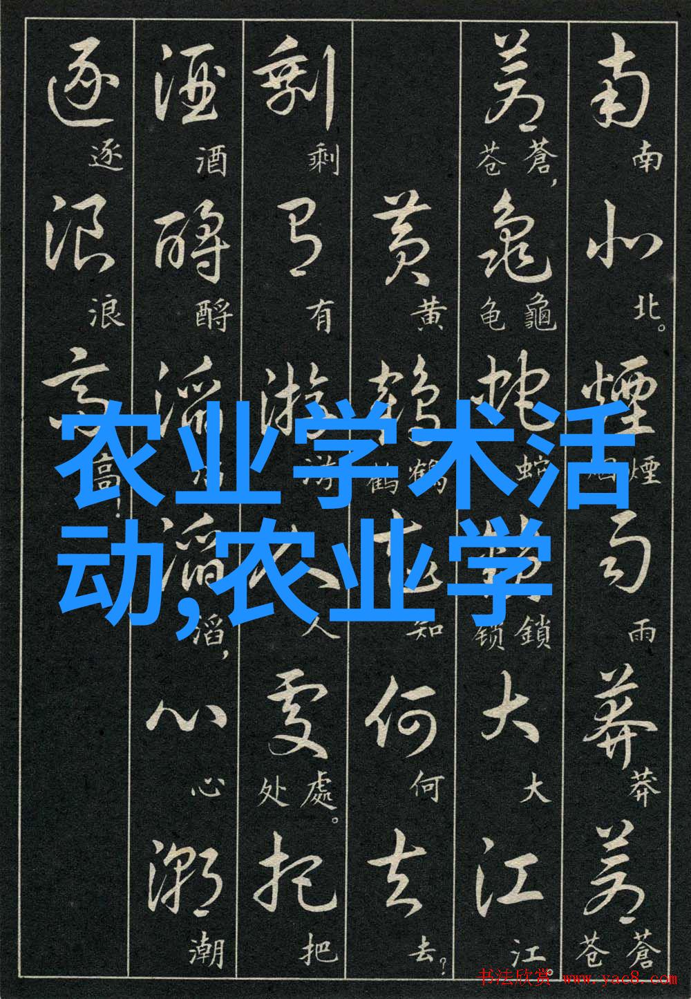 新手蔬菜商户的采购指南如何高效且经济地获取新鲜蔬菜