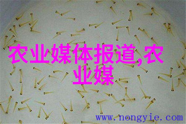 为什么说武夷岩 teas 是一款特别独特的乌龙茶