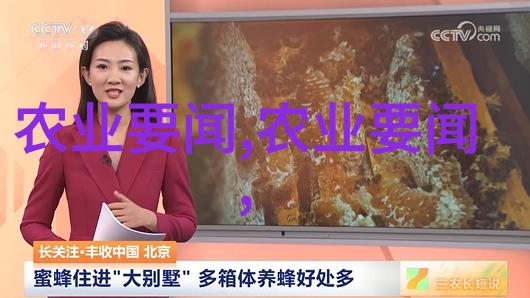 千头椿十公分版适合室内外两用植物选择吗