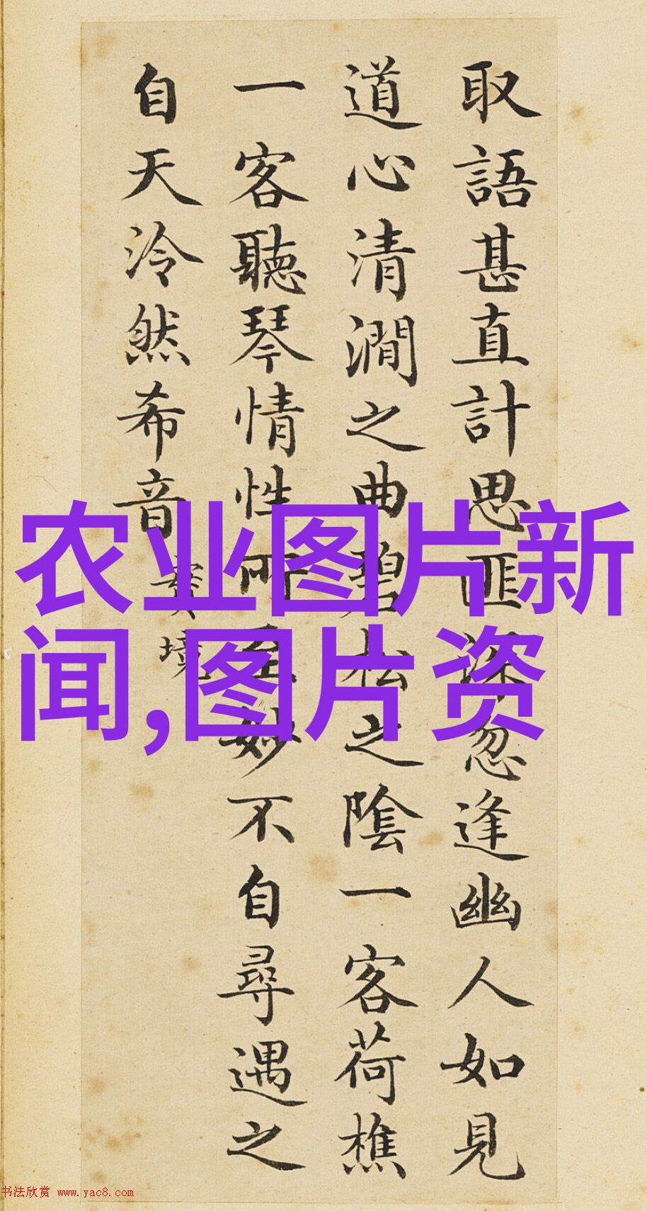茶香悠扬探秘长期品茗的秘密