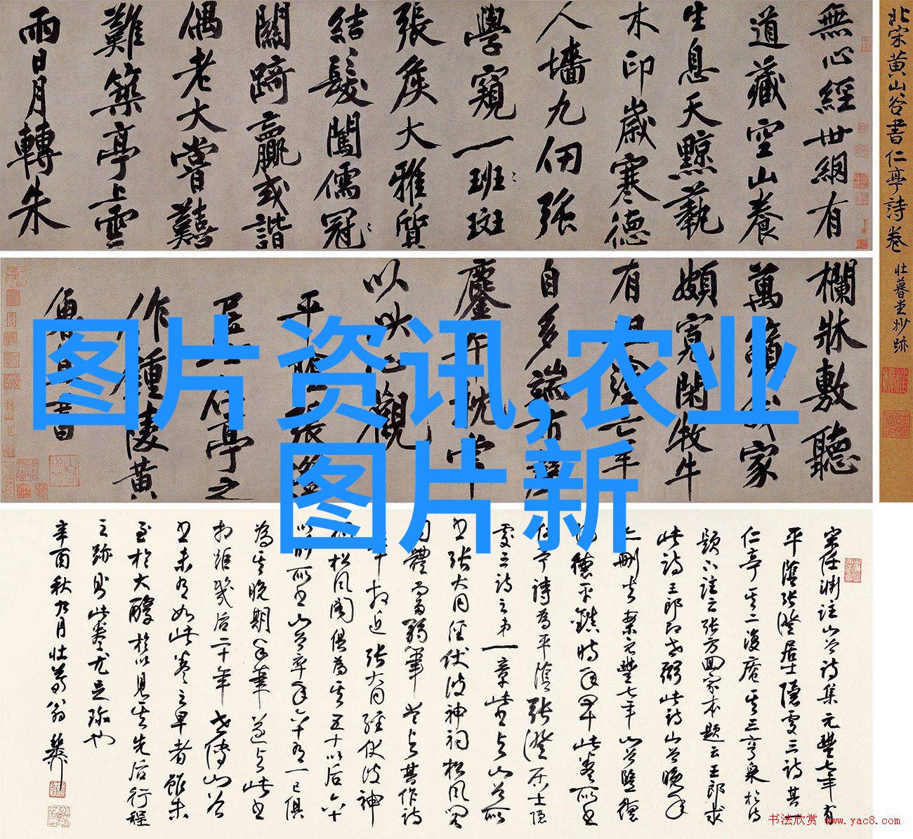 雪菜的诱惑