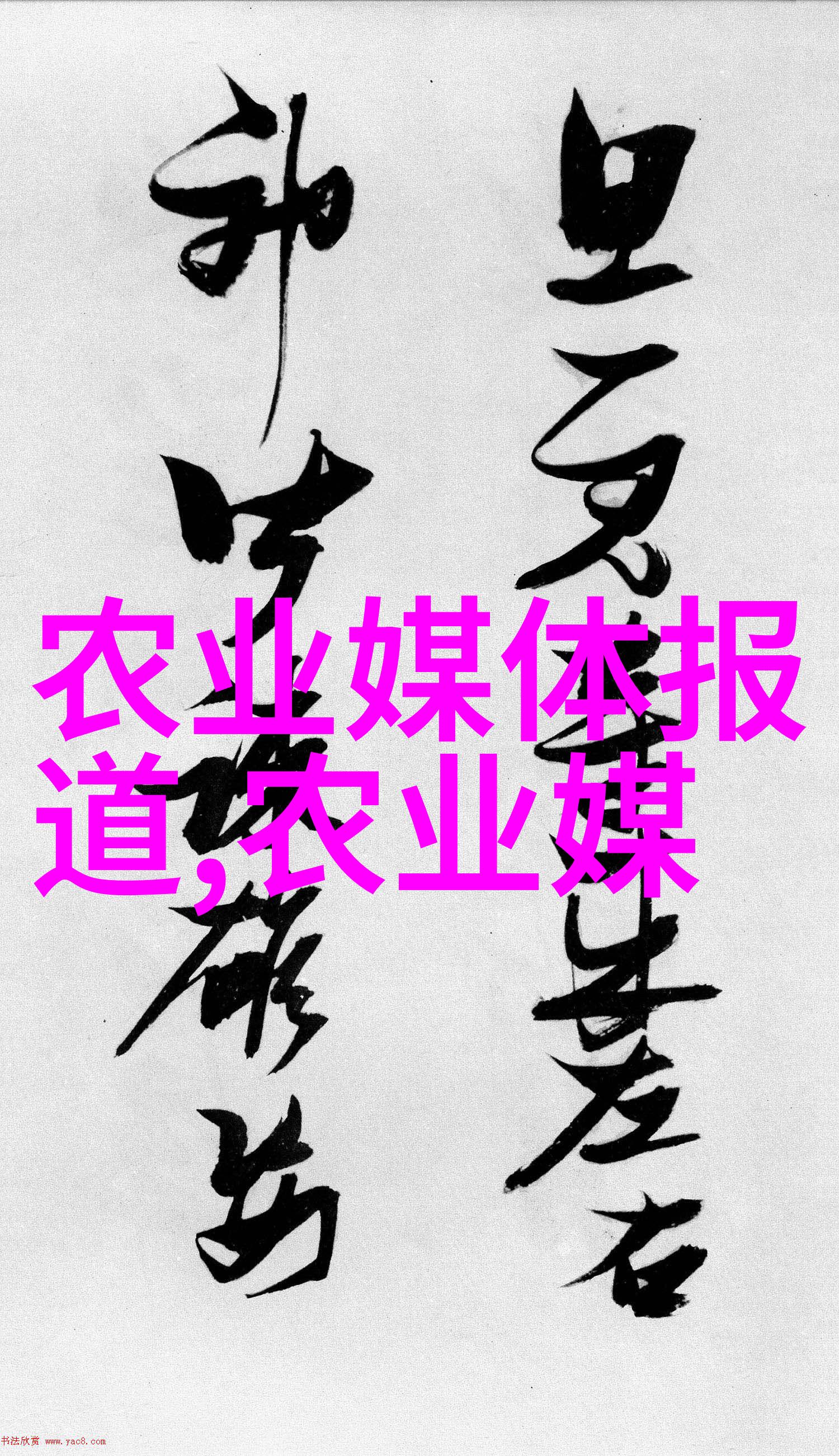 我来告诉你1000万绿化工程有多少