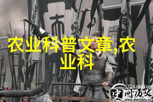 绿色丰收农机作业的全貌探秘