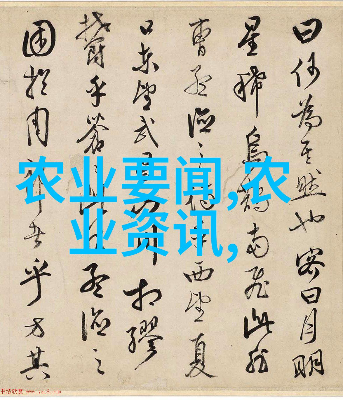 用镜头记录生活的小确幸深入解读那些温馨的家园里的景象