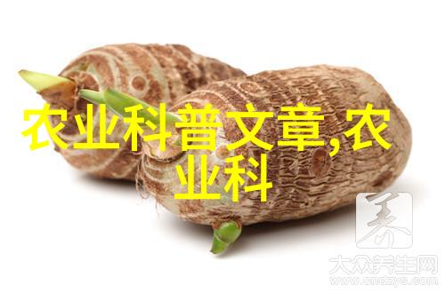 抗旱能力强大的好帮手在干旱季节南方应该种植什么样的懒人果树