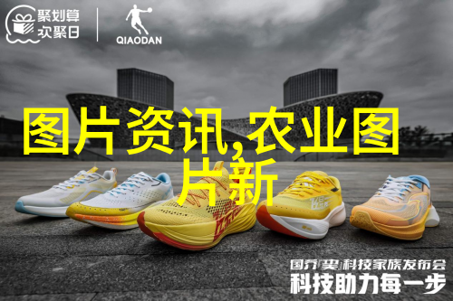 從根基到繁荣剖析近处花圃設施創新的種子