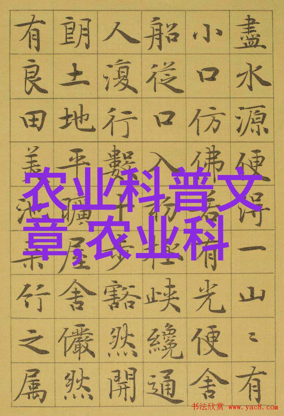 绿意盎然的实验从种子到丰收的奇妙旅程
