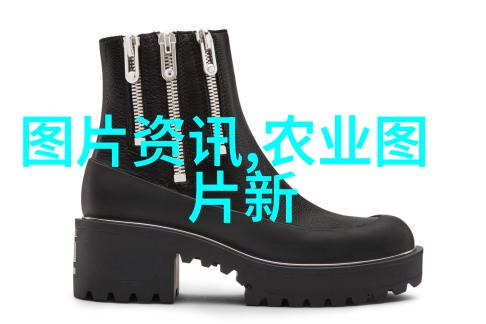 一年四季都开花的花卉盆栽有哪些-四季绽放探秘一年中不停歇开放的美丽盆栽
