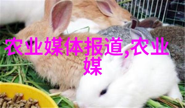 皮带输送机-高效传送系统皮带输送机在现代物流中的应用与优点探究