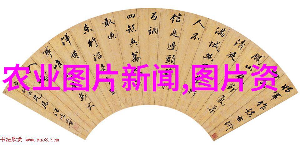 花园美学盆栽花卉图片欣赏与名称介绍精选鲜花种类图集