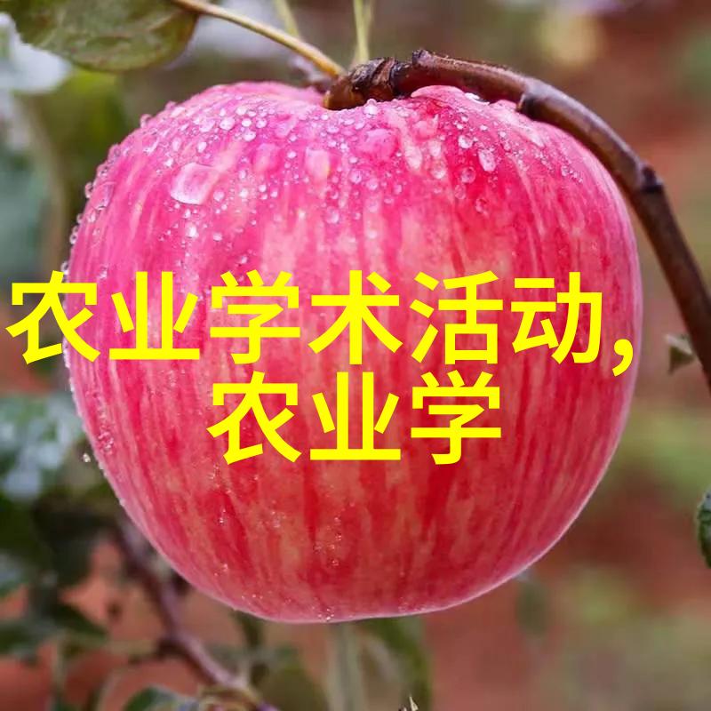 梅子种植技术共享香甜的秘密