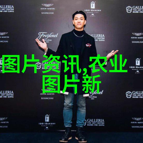花卉种子播种方法我是如何让自己的花园里盛开出美丽花朵的
