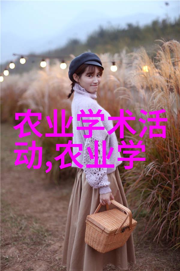 水旱两用耕田机节水高效的农机设备