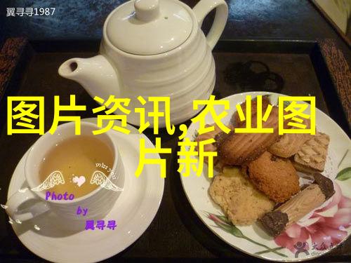 智能化种植系统的应用与未来发展趋势