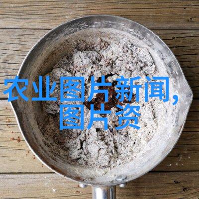 新标题开启姜姜关系新篇章宜昌市农科院生姜优