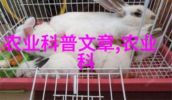 探索中药材的宝藏地寻找最适合收割的地方