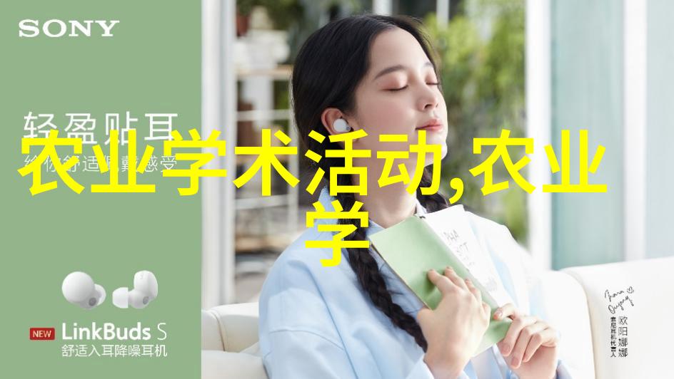 十字花科蔬菜的美味与营养价值探究