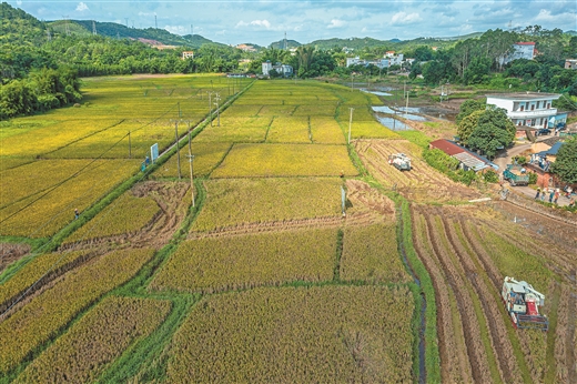 科普动态职称评审政策亮剑植保所编外聘用人员专场宣讲会