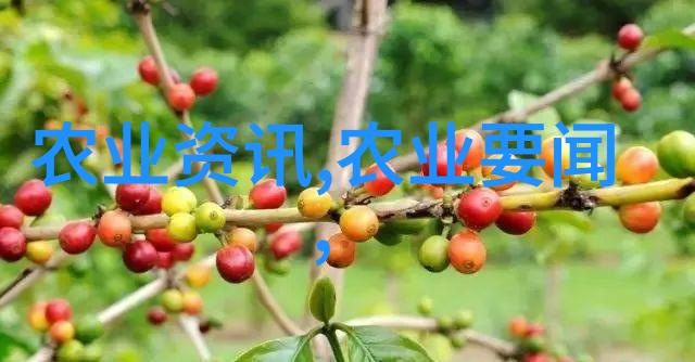 主题我要急招养猪工人