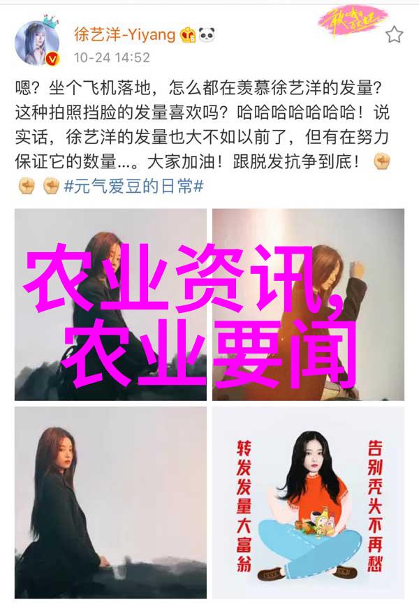 都市所国际留学生结业答辩结束